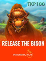 Release The Bison icon